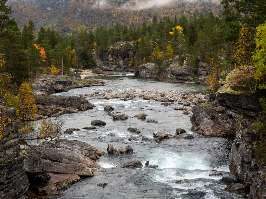 Hej då Norge, Viktor & Erika