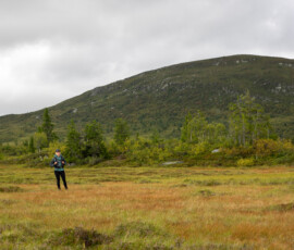 Det ser jättelitet ut Gunnarfjellet, haha! Det var större i verkligheten, lovar.